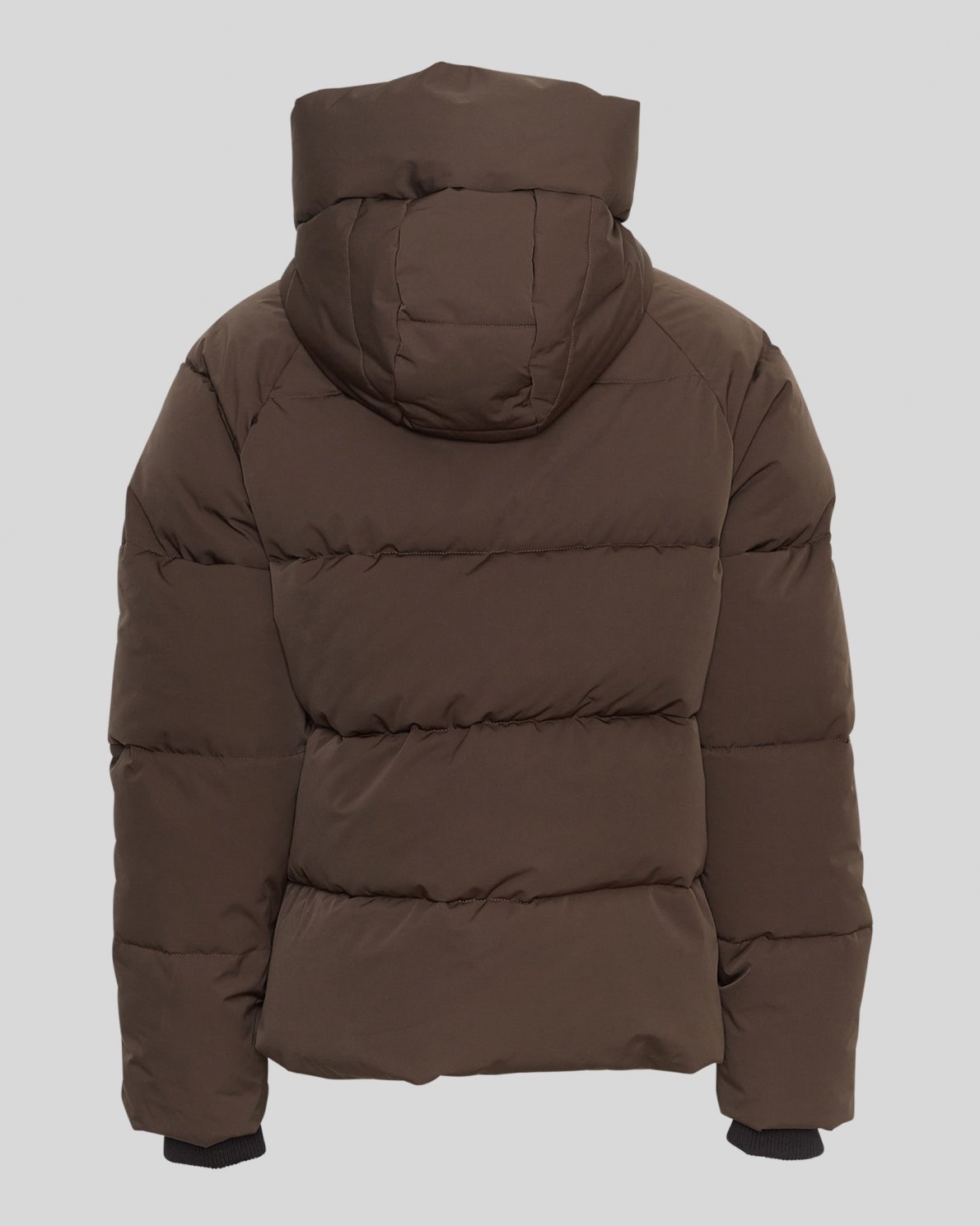 Veste courte PAVINARIA Msch